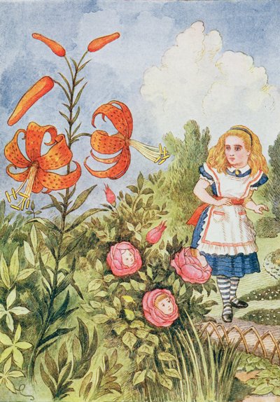 Tiger Lily, from 
